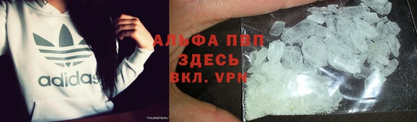 стафф Аркадак