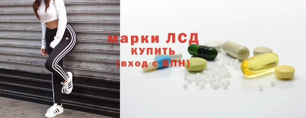 стафф Аркадак