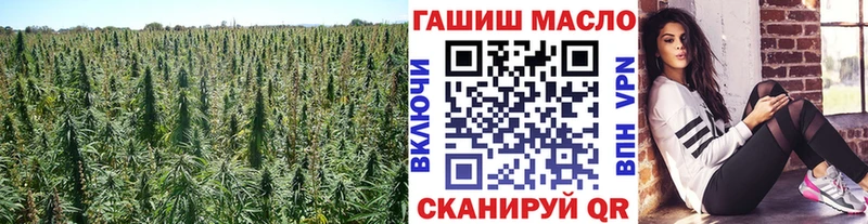 ТГК концентрат  mega ссылка  Тутаев 