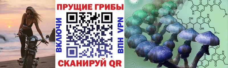 Галлюциногенные грибы GOLDEN TEACHER  как найти закладки  Тутаев 
