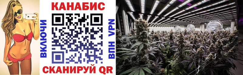 Каннабис White Widow  что такое   Тутаев 
